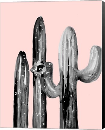 Framed Natural Desert Cactus On Blush Print