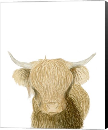 Framed Highland Cattle Print