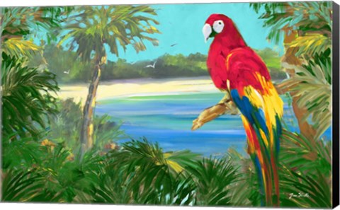 Framed Parrot By The Ocean Print