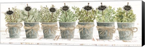 Framed Herbs in a Row Print