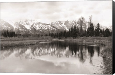 Framed Tetons at Schwabachers Landing Print