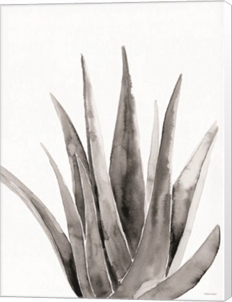Framed Organic Botanical II Print