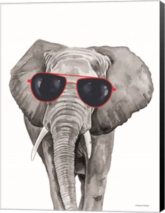 Framed Looking Cool Elephant Print