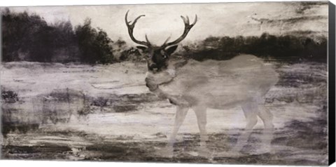 Framed Bull in Forest 2 Print