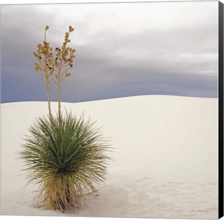 Framed Botanic Dunes Print