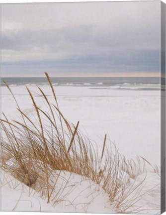 Framed Peaceful Beach Print