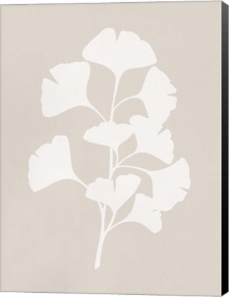 Framed Ginkgo Branch II Print