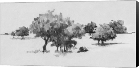 Framed Treeline Sketch II Print