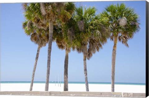 Framed Coastal Palms I Print