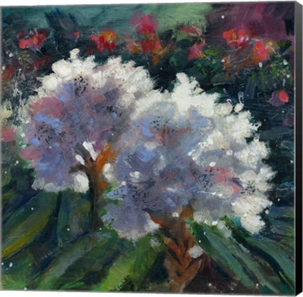 Framed Rhododendron Portrait I Print