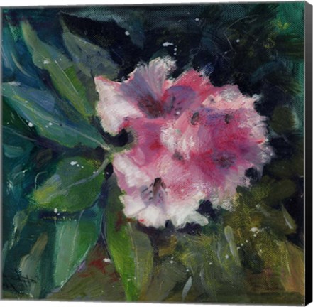 Framed Rhododendron Portrait II Print