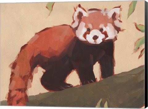 Framed Red Panda I Print