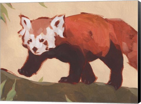 Framed Red Panda II Print