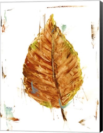 Framed Autumn Leaf Study III Print