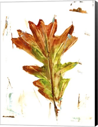 Framed Autumn Leaf Study IV Print