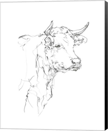 Framed Bovine Quick Study I Print