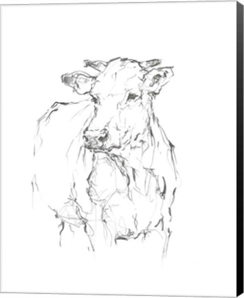 Framed Bovine Quick Study II Print