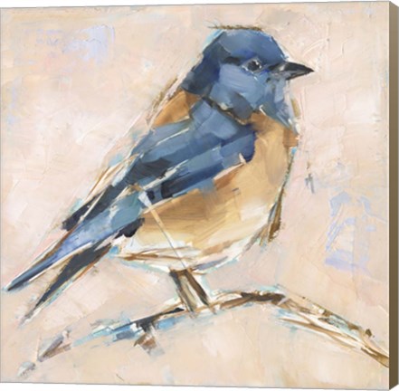 Framed Bird Variety III Print