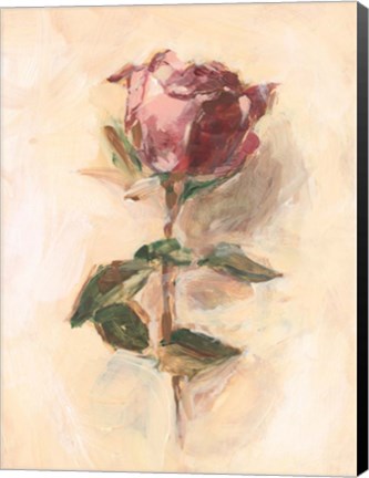 Framed Painterly Rose Study I Print