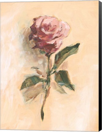 Framed Painterly Rose Study II Print