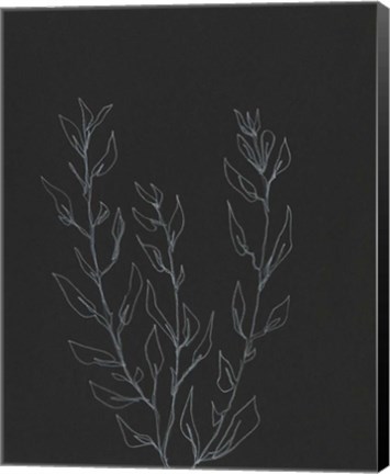 Framed Simple Stalk II Print