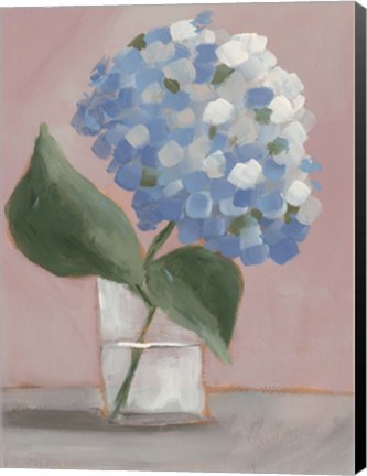 Framed Single Hydrangea II Print