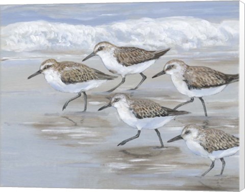 Framed Sandpipers I Print