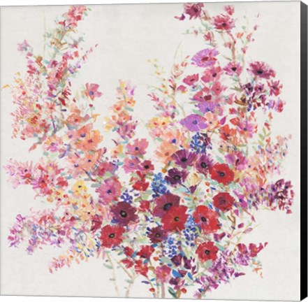 Framed Flowers on a Vine II Print