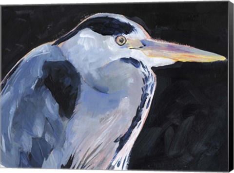 Framed Great Heron I Print