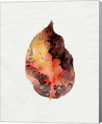 Framed Watercolor Autumn Leaf I Print