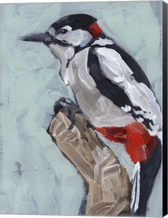 Framed Woodpecker Paintstrokes I Print