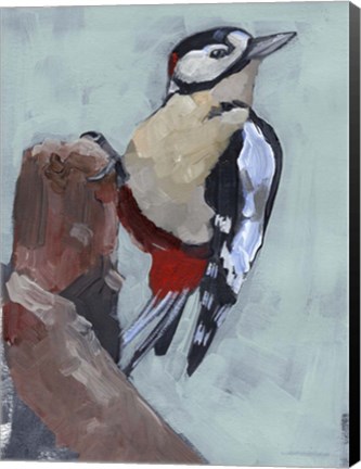 Framed Woodpecker Paintstrokes II Print
