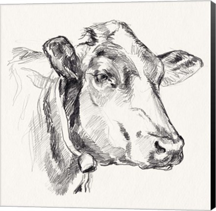 Framed Holstein Portrait Sketch I Print