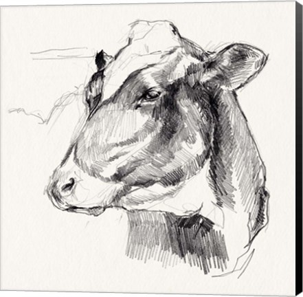 Framed Holstein Portrait Sketch II Print