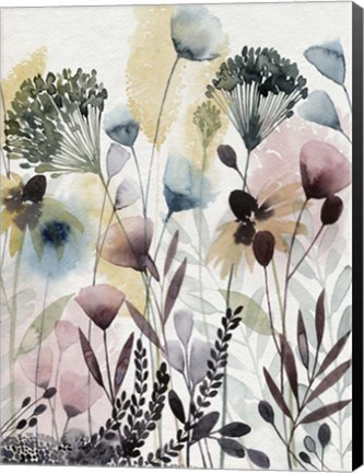 Framed Watercolor Wildflower II Print