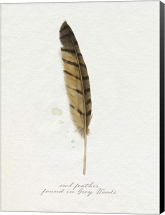 Framed Found Feather III Print