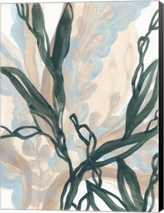 Framed Seaweed Drift I Print