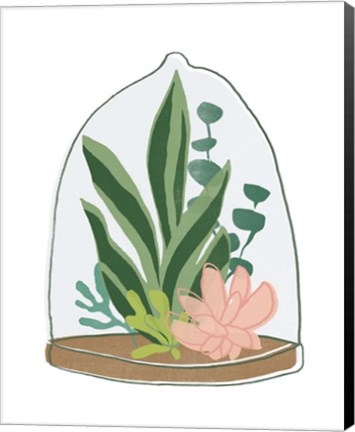 Framed Terrarium Cameo VII Print