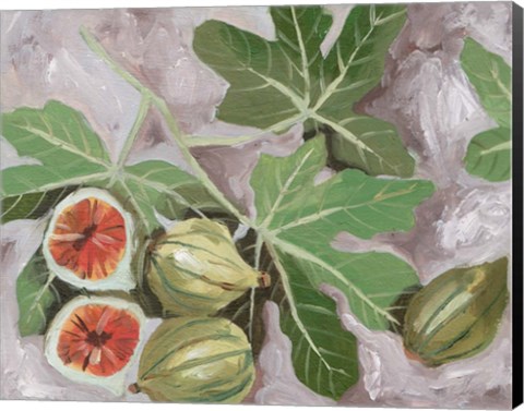Framed Decorative Fig I Print