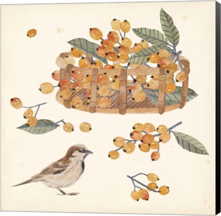 Framed Basket with Fruit III Print