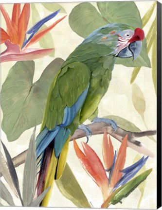 Framed Tropical Parrot Composition I Print