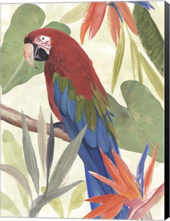 Framed Tropical Parrot Composition III Print