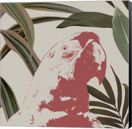 Framed Graphic Tropical Bird IV Print