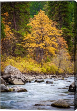 Framed Autumn Across The River Print