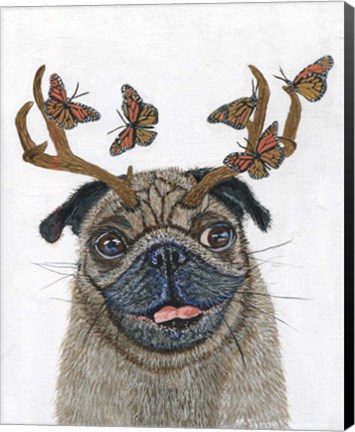 Framed Pug With a Big Rack Print