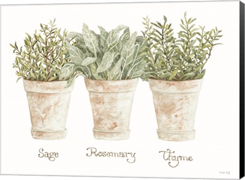 Framed Herb Trio Print