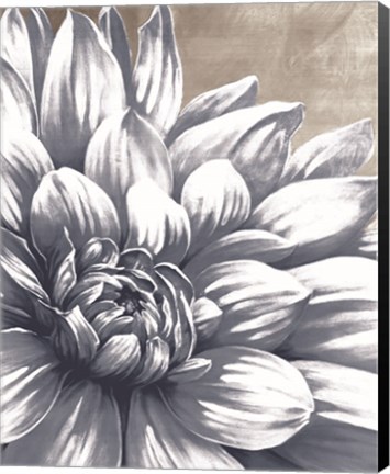 Framed Charming Floral I Print