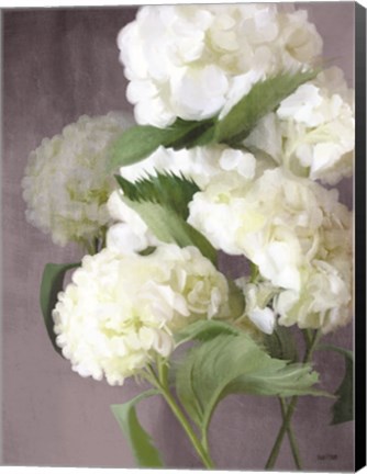 Framed Snow Hydrangeas Print