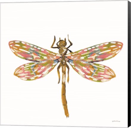 Framed Dainty Dragonfly Print