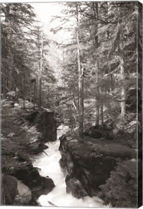 Framed Avalanche Trail Print